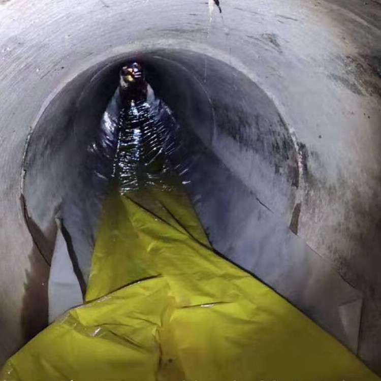 隆昌管道光固化修复